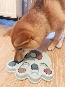 Gamelle Interactive pour Grand Chien – Nourrissez l'esprit, stimulez l'appétit